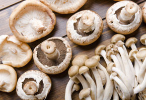 different types of edible mushrooms on wooden table