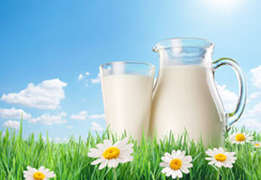 Milk jug and glass on the grass with chamomiles