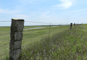 stone fence posts along the back roads of Kansas