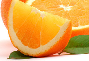 orange slices on a white background