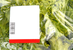 Iceberg Lettuce In Plastic Bag Package